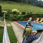 Kadłubek * Wisła
