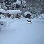 Kadlubek Farm stay Wisla