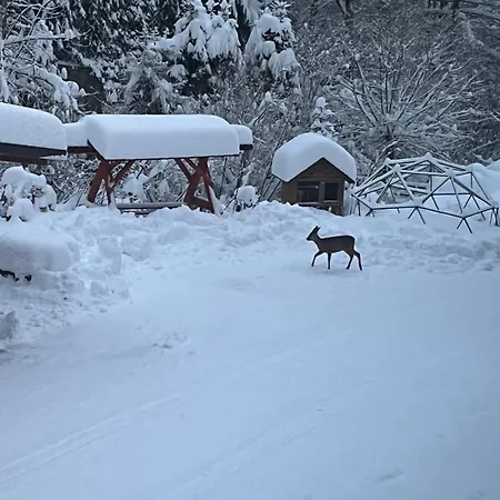 Kadlubek Farmház Wisła