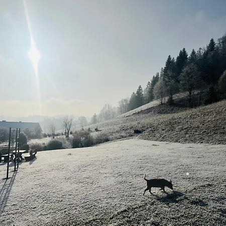 Kadlubek * Wisła