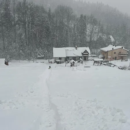 Kadlubek * Wisła
